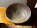 hachi03dsc00058